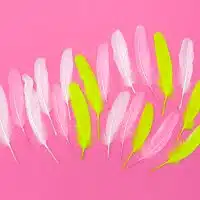 eda font bg