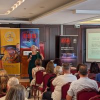 imerida 2025 sim (2)